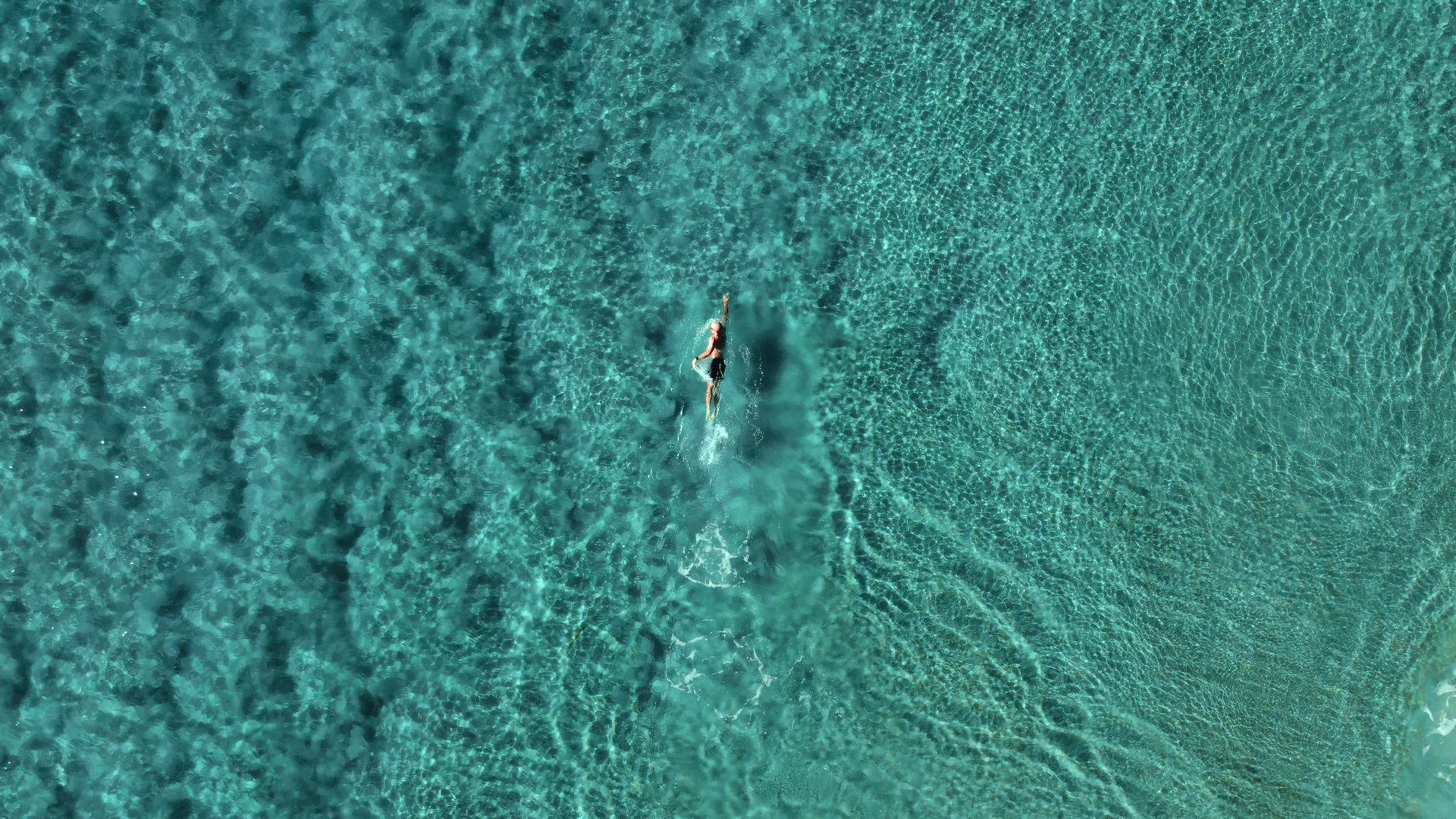 A swimmer in open water seen from above